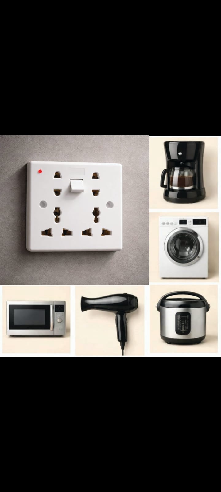 Royal Light Plug  (pack of 6)
